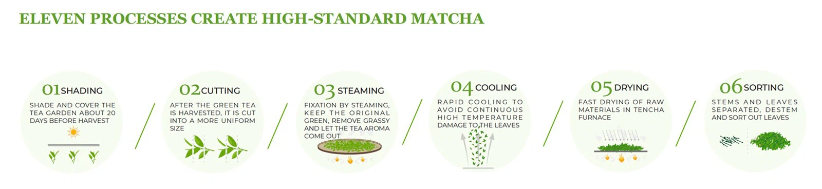 Matcha flow chart-2 Matcha flow chart-2